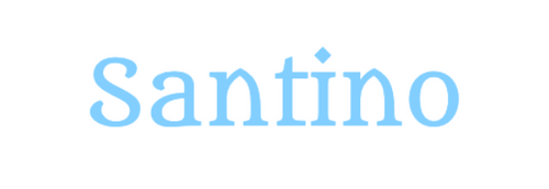 Santino Delivery